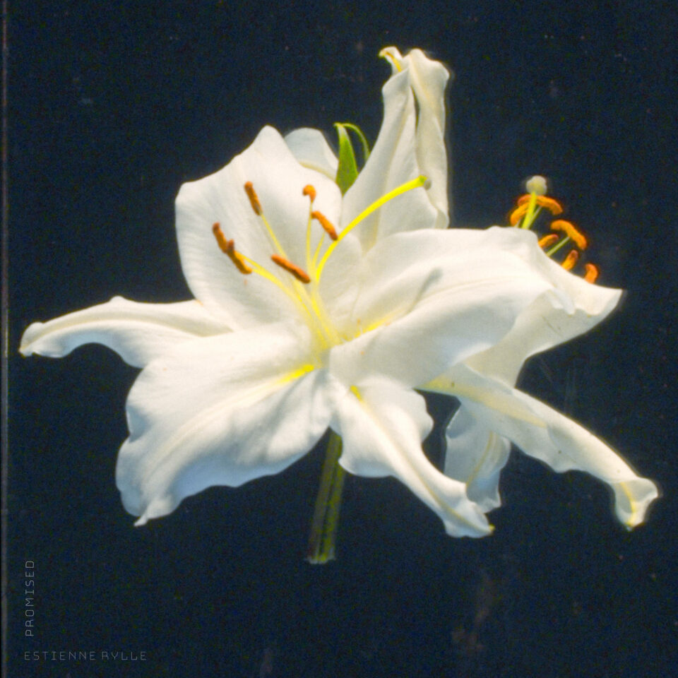 Estienne Rylle – EP Promised – Cover